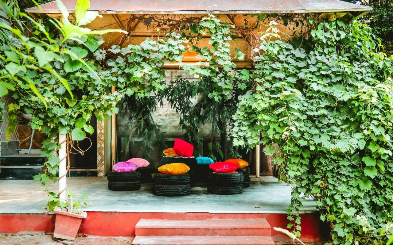 Farmstay - Capsule Den Nueva Delhi Exterior foto